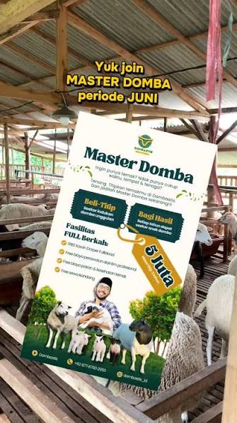 Jasa Titip Ternak Domba